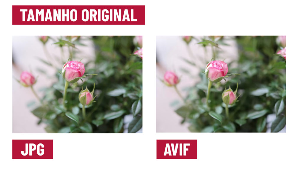 Clique na imagem para ver o resultado aproximado entre imagens JPEG e imagens AVIF